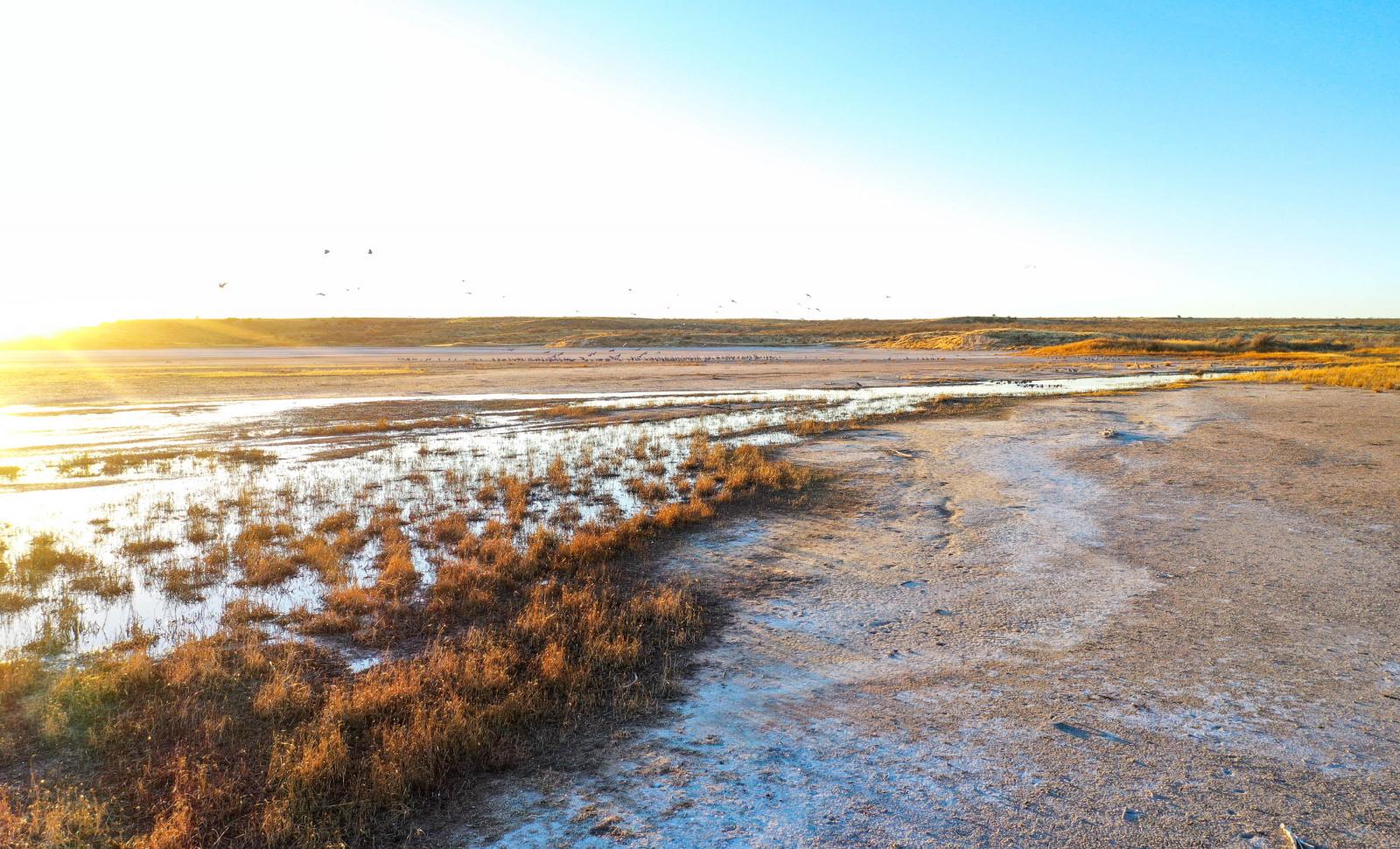 Tahoka Lake Ranch Chas S. Middleton